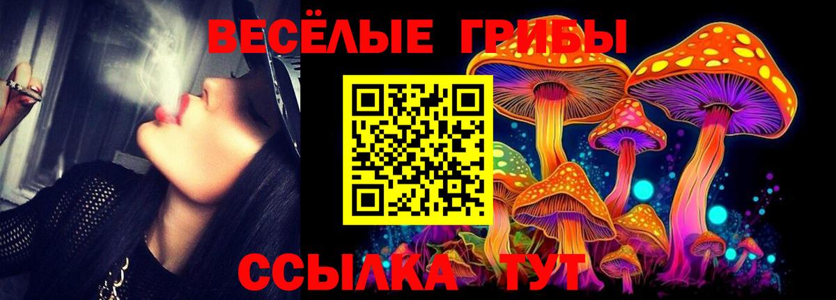 Псилоцибиновые грибы Psilocybine cubensis Геленджик